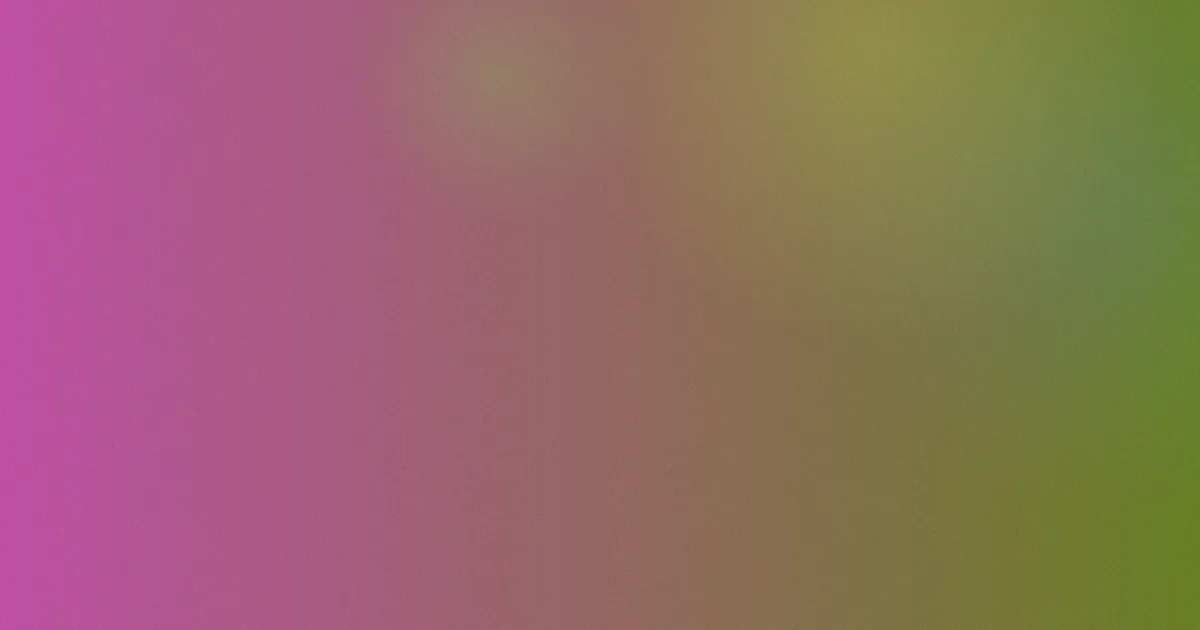 功夫兔与菜包狗测评：避坑步骤
